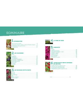 UN JARDIN DE PETITS FRUITS