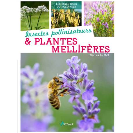 INSECTES POLLINISATEURS ET PLANTES MELLIFERES