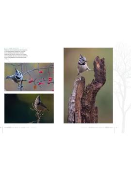 LA VIE CACHEE DES ANIMAUX SAUVAGES