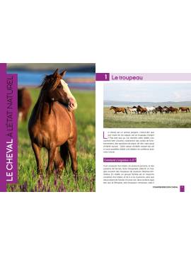 MIEUX COMPRENDRE SON CHEVAL