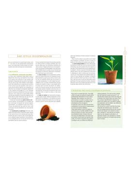 TRUCS ET ASTUCES SUR LA GERMINATION