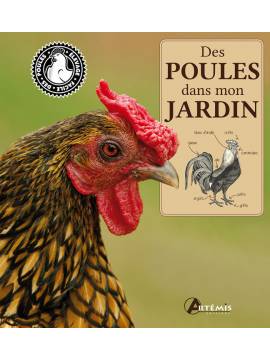 DES POULES DANS MON JARDIN