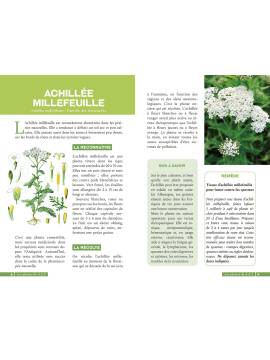 LES PLANTES SAUVAGES BIENFAISANTES ET COMESTIBLES