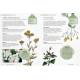 PLANTES AROMATIQUES - MANUEL DU JARDINIER