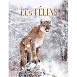 LES FELINS