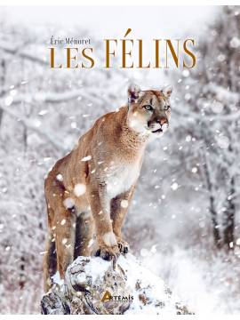 LES FELINS