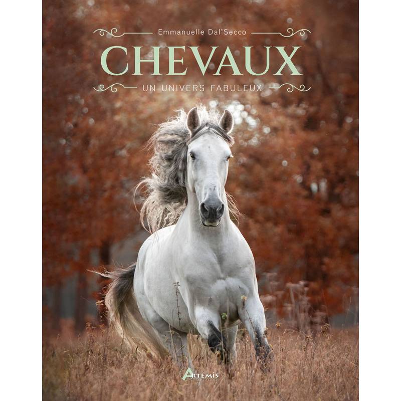 BEAU LIVRE CHEVAUX : UN UNIVERS FABULEUX