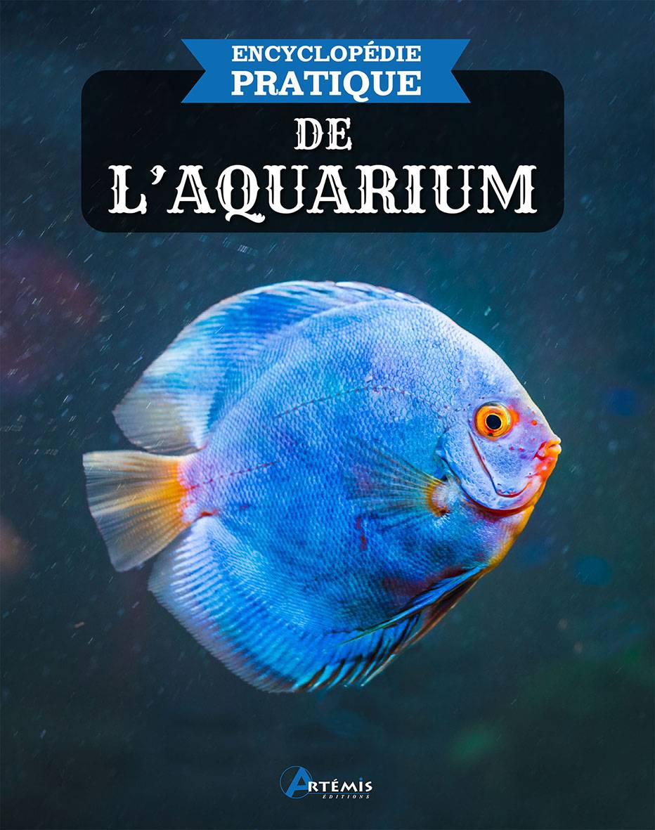 L'aquarium et l'aquariophilie moderne avec