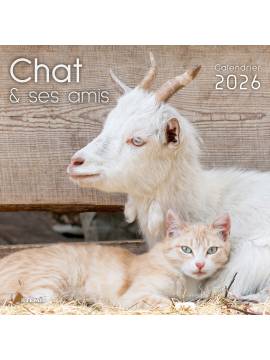 CALENDRIER LE CHAT ET SES AMIS 2026