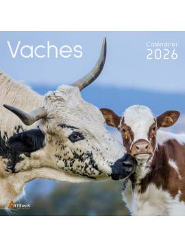 CALENDRIER VACHES 2026