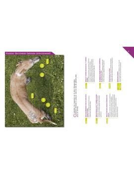 SOIGNER SON CHIEN AVEC L'ACUPRESSION