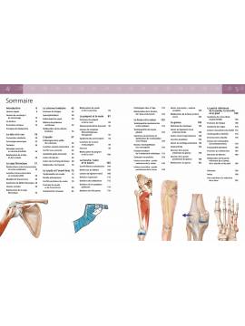 ANATOMIE DES BLESSURES SPORTIVES