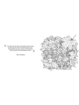 MERVEILLES SOUS-MARINES