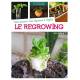 FAIRE POUSSER MES LEGUMES A L'INFINI : LE REGROWING