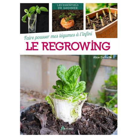 FAIRE POUSSER MES LEGUMES A L'INFINI : LE REGROWING