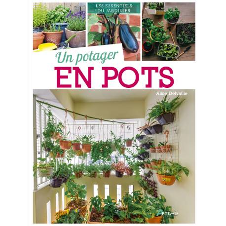 UN POTAGER EN POTS