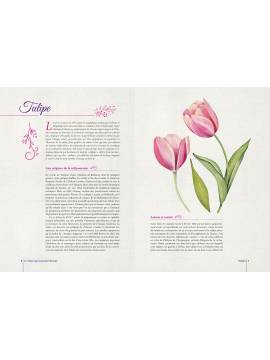 LES FLEURS SE RACONTENT