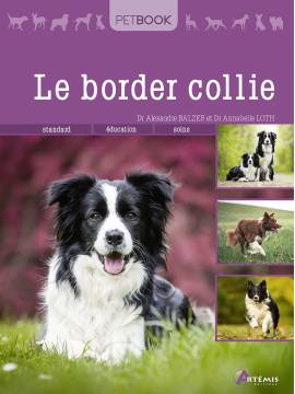 BORDER COLLIE