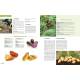 LE GRAND LIVRE DU POTAGER