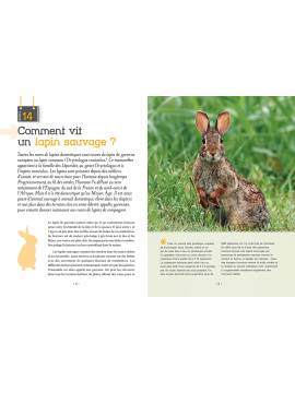 ET SI ON ACHETAIT UN LAPIN ?