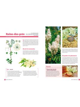 PLANTES SAUVAGES COMESTIBLES ET BIENFAISANTES