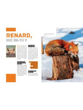 RENARD