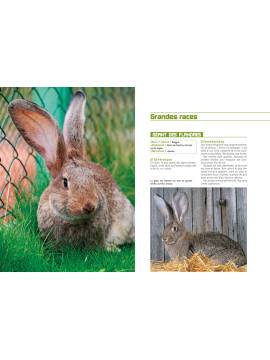 MES PETITS ELEVAGES AU JARDIN