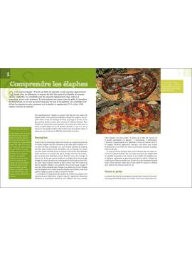 SERPENTS DES BLES ET AUTRES SERPENTS RATIERS