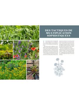 MAUVAISES HERBES, VRAIMENT?