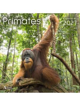 CALENDRIER PRIMATES 2027