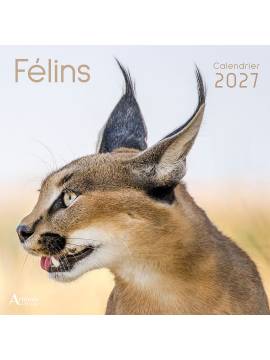 CALENDRIER FELINS 2027