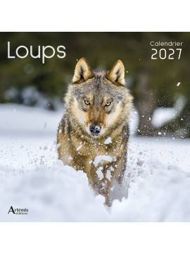 CALENDRIER LOUPS 2027