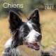 CALENDRIER CHIENS 2027