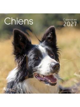 CALENDRIER CHIENS 2027