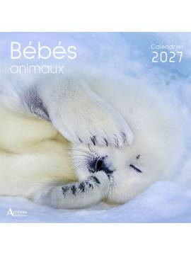 CALENDRIER BEBES ANIMAUX 2027