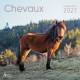 CALENDRIER CHEVAUX 2027