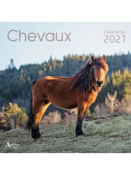 CALENDRIER CHEVAUX 2027