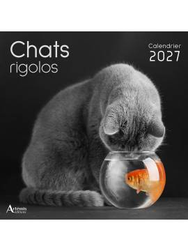 CALENDRIER CHATS RIGOLOS 2027
