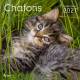 CALENDRIER CHATONS 2027