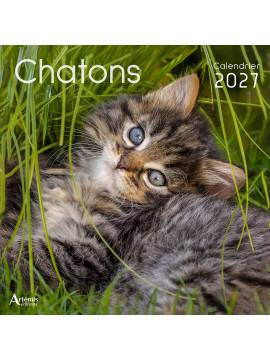 CALENDRIER CHATONS 2027