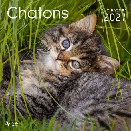 CALENDRIER CHATONS 2027