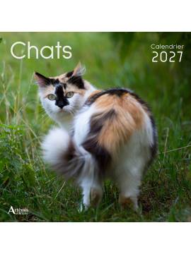 CALENDRIER CHATS 2027