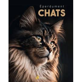 EPERDUMENT CHATS