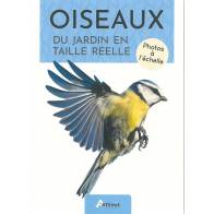 OISEAUX DU JARDIN EN TAILLE REELLE