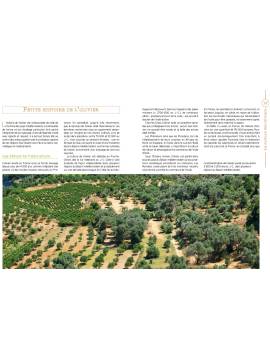 LA CULTURE DES OLIVIERS