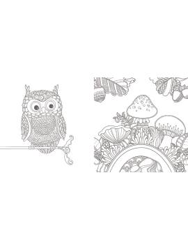 ENERGIE DE LA FORET COLORIE-THERAPIE