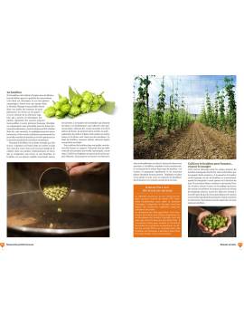 LE MANUEL DU PARFAIT BRASSEUR