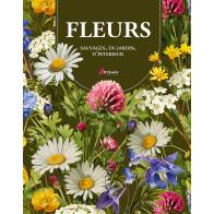 FLEURS : SAUVAGES, DU JARDIN, D'INTERIEUR