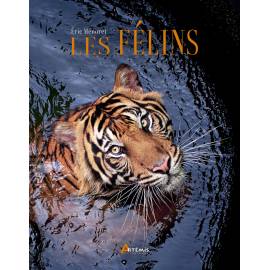 LES FELINS