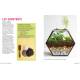 TERRARIUMS - 33 PROJETS POUR CREER DES JARDINS MINIATURES